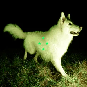 Compare what's there